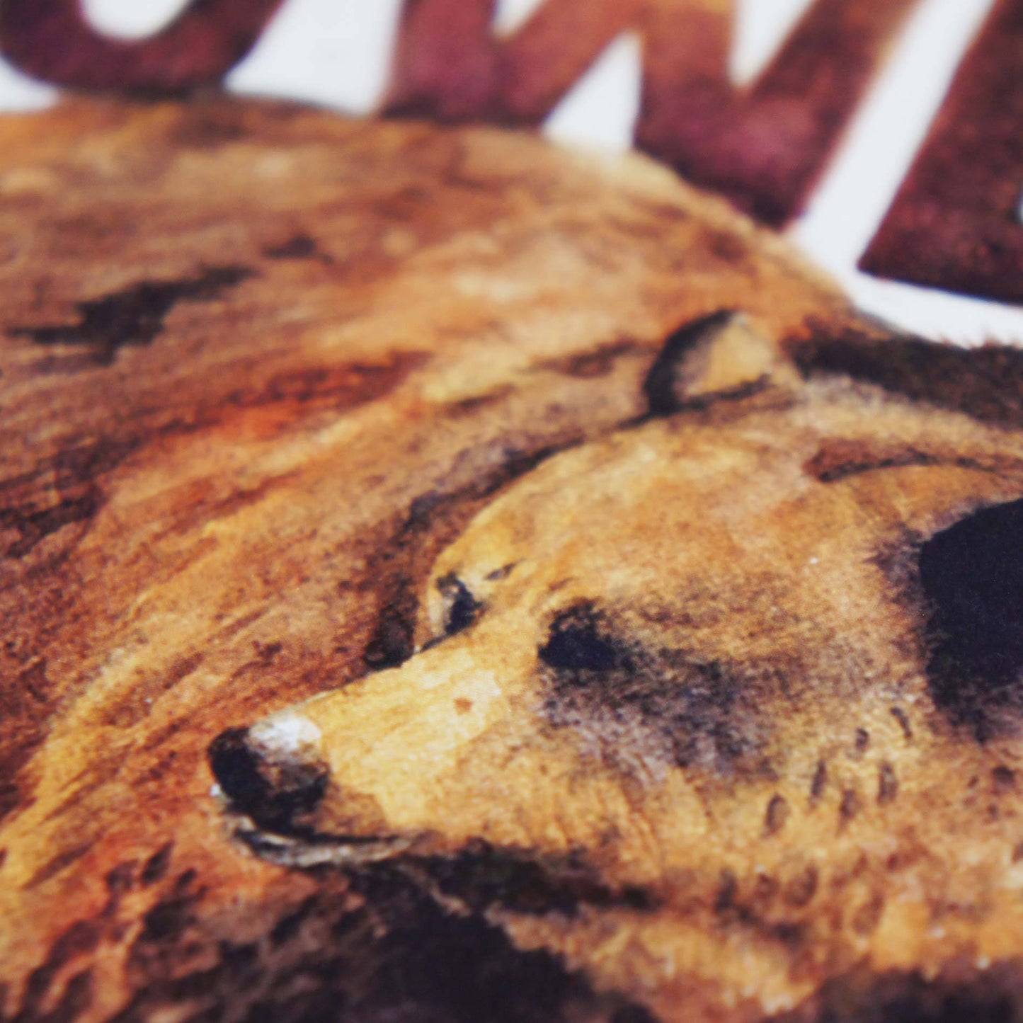 Watercolor Detail of Bear Power - Ephesians 6:10 | Scripture Wall Art