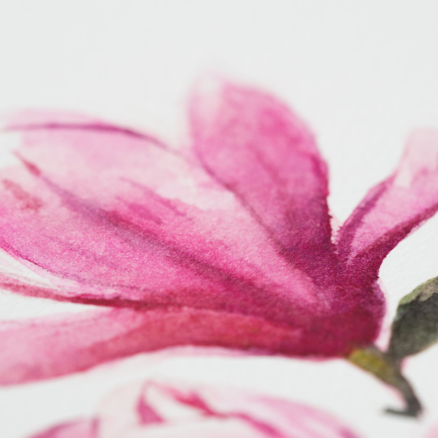 Consider the Lilies - Luke 12:27