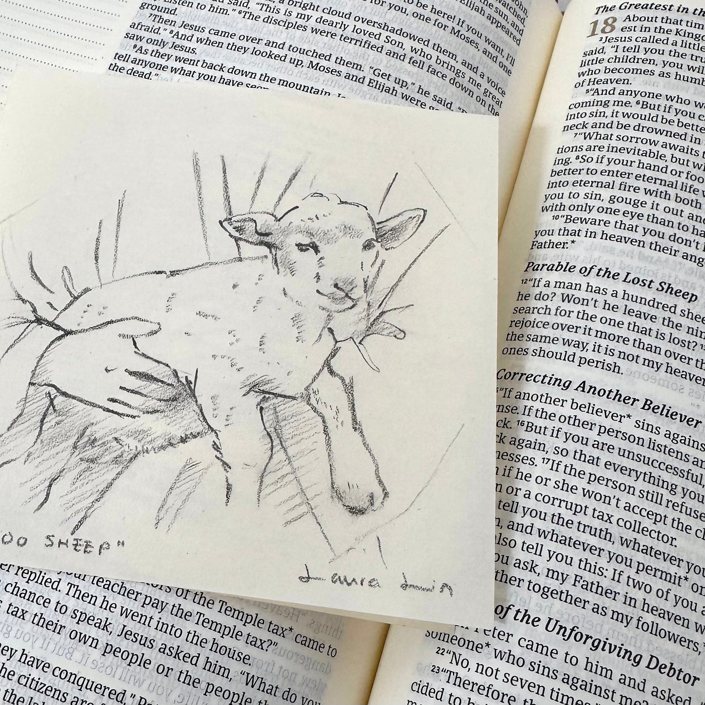 "1 in 100 Sheep" - In the Shepherd's Arms Study No. 2