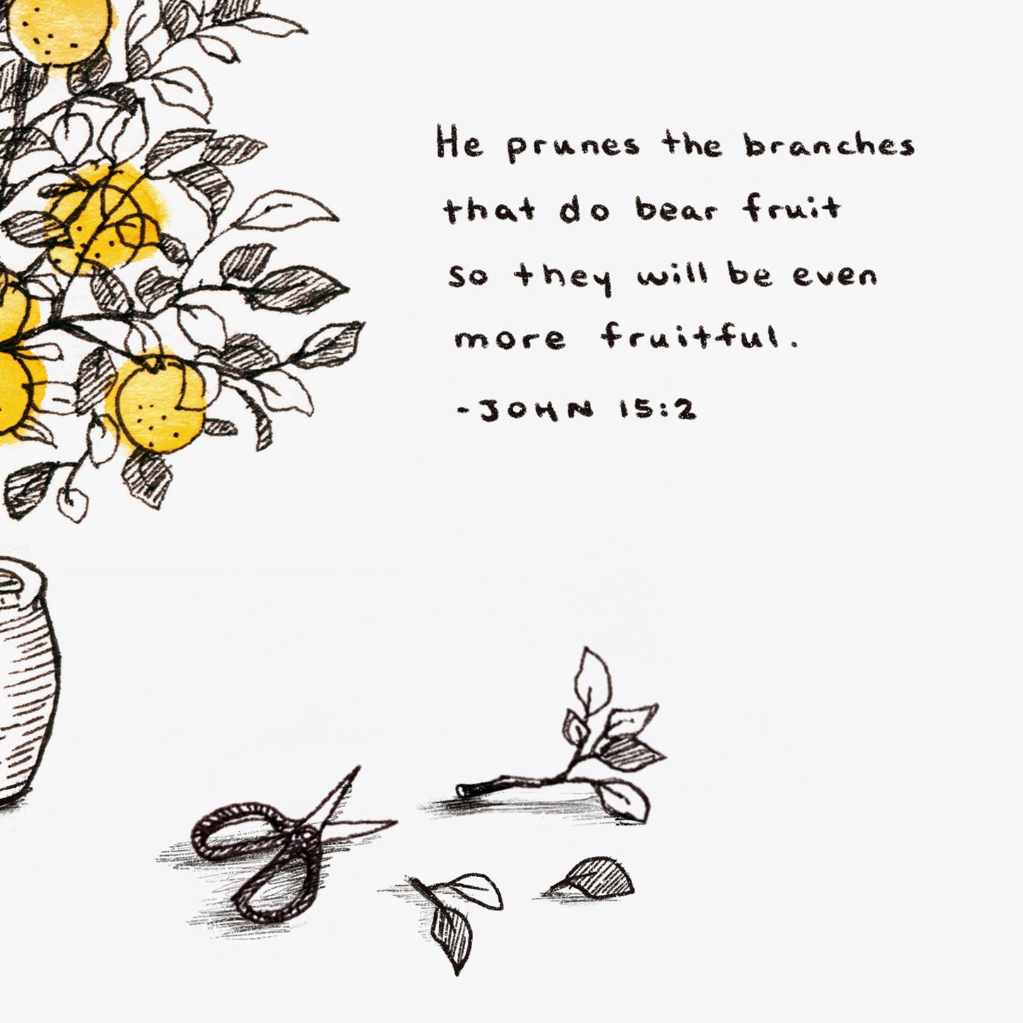 Even More Fruitful - John 15:2