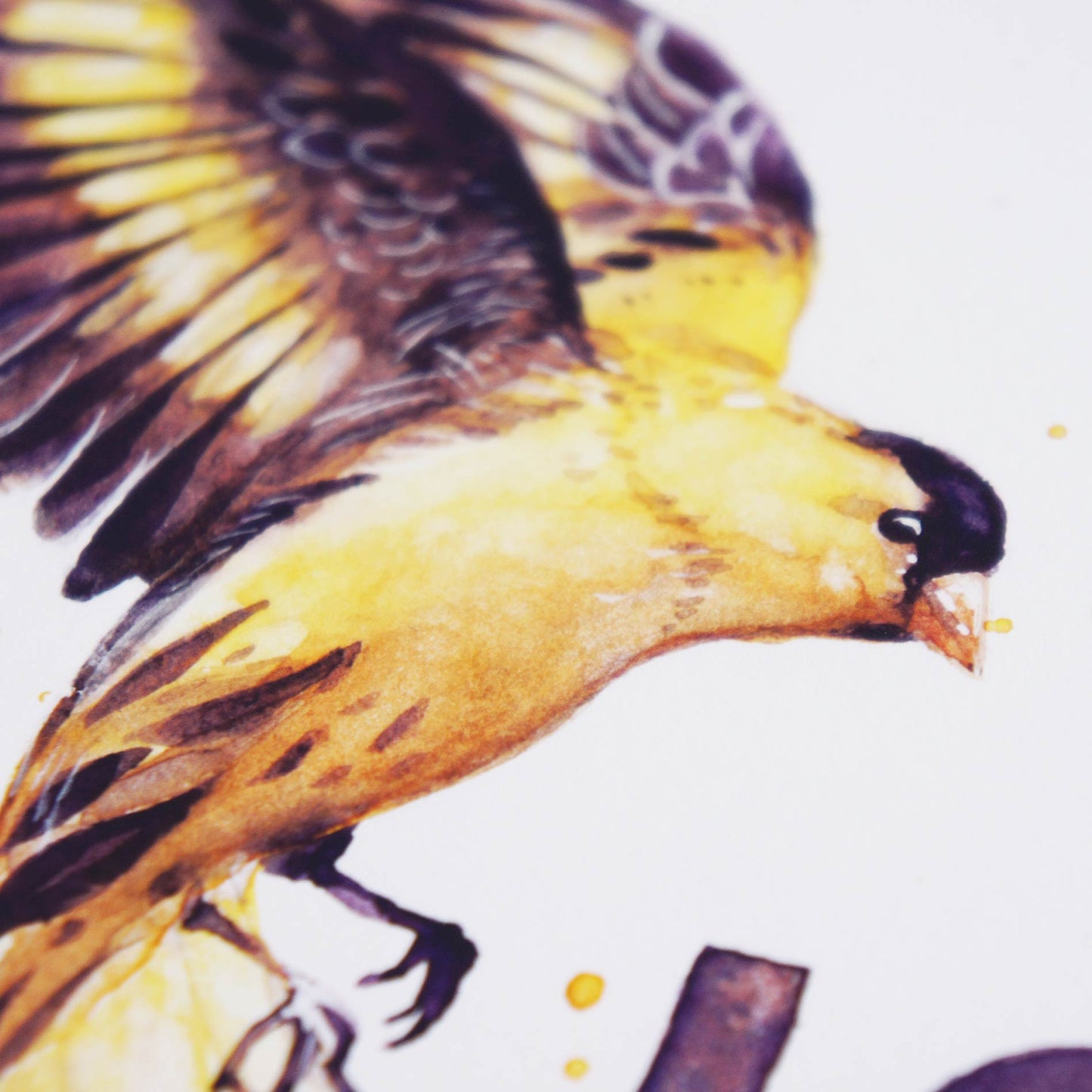 Joy - Watercolor Detail of Scripture Art Print