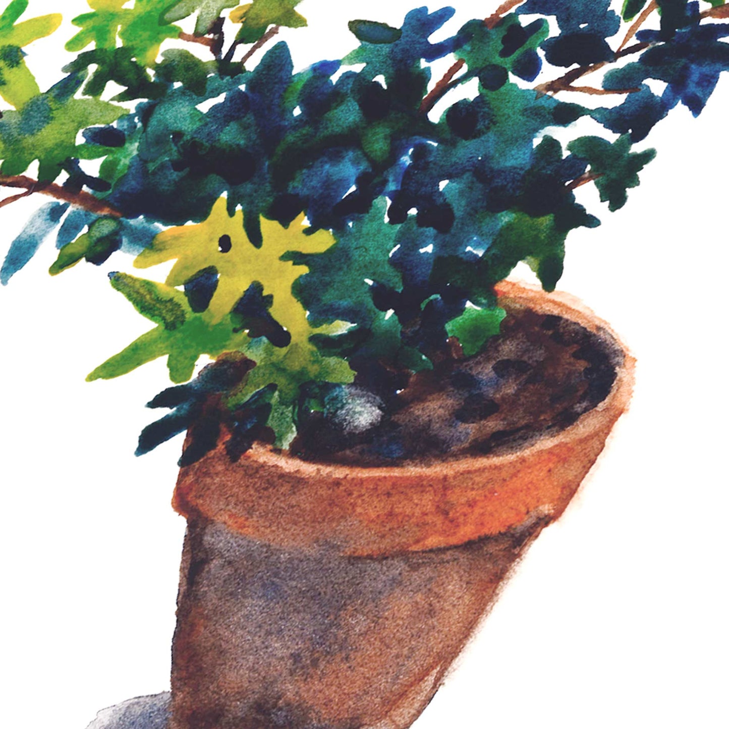 God Makes Things Grow - Detailed Watercolor Shot