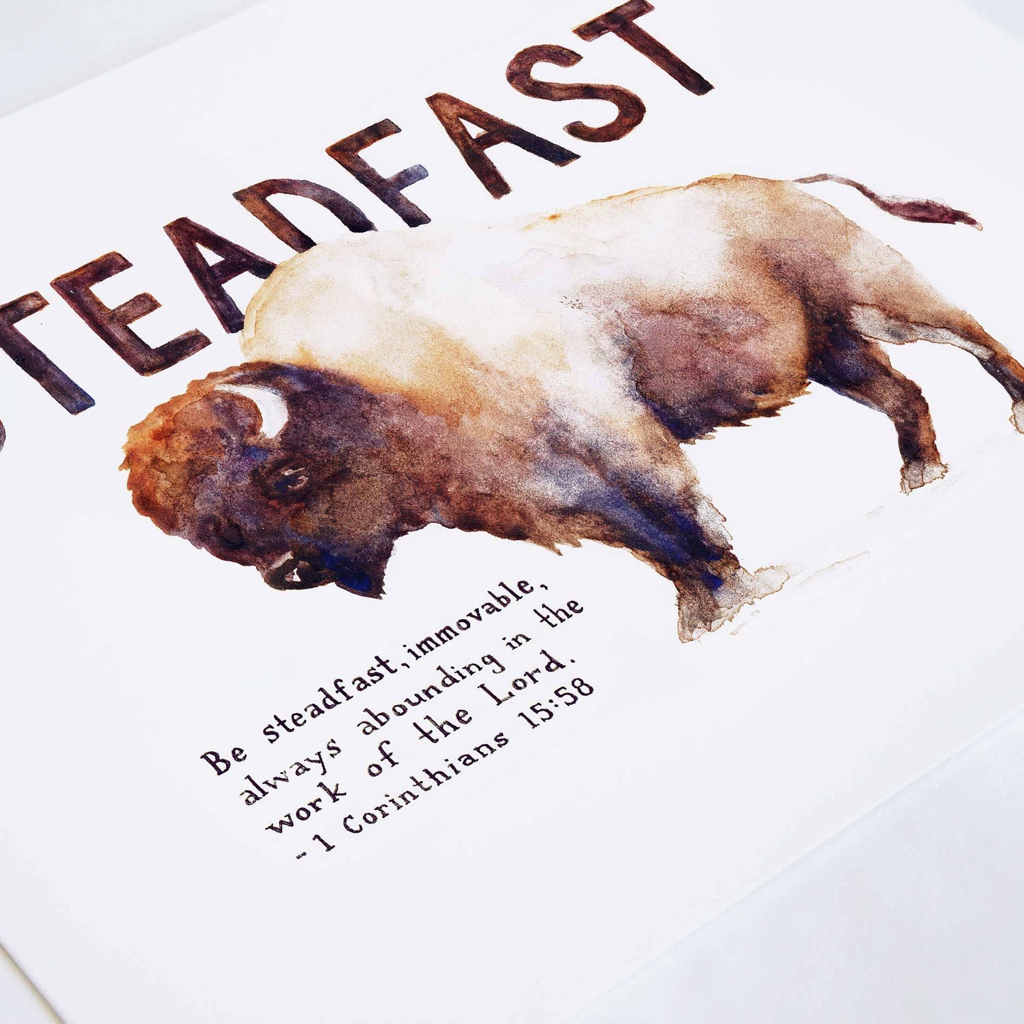 Angle of Steadfast Bison - 1 Corinthians 15:58 Scripture Art Print