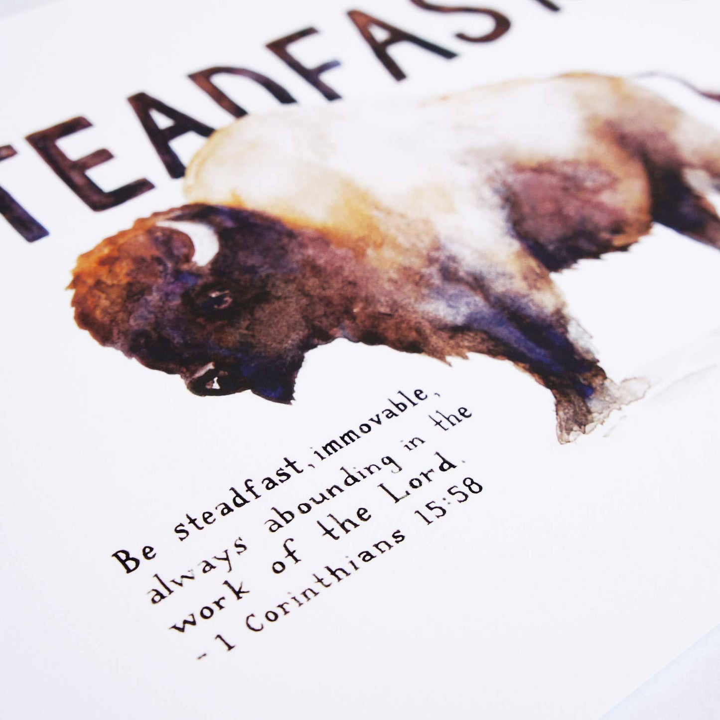 Verse Detail of Steadfast Bison - 1 Corinthians 15:58 Bible Art Print
