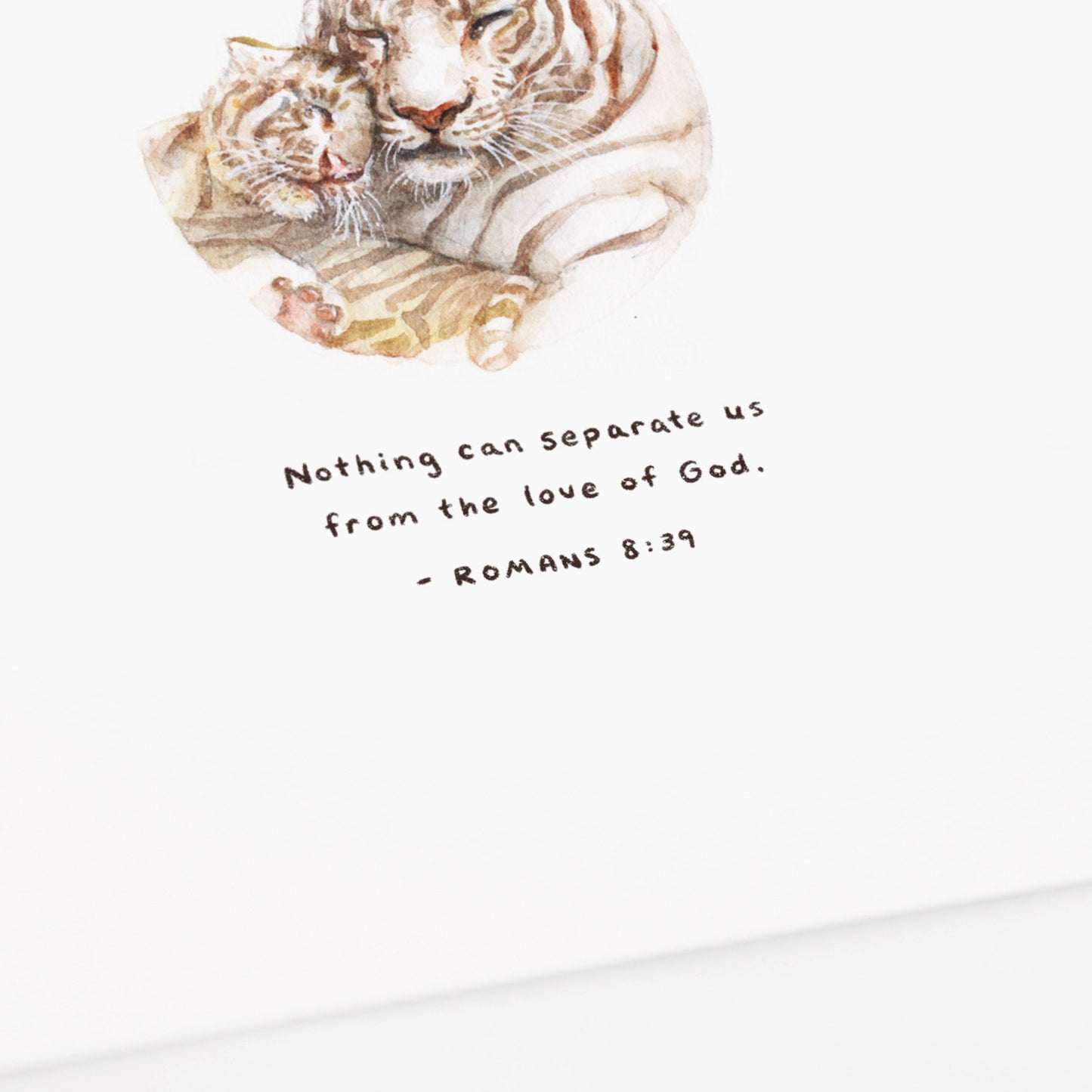 Romans 8:39 Artwork of tiger and cub - "Nothing can separate us from the love of God."