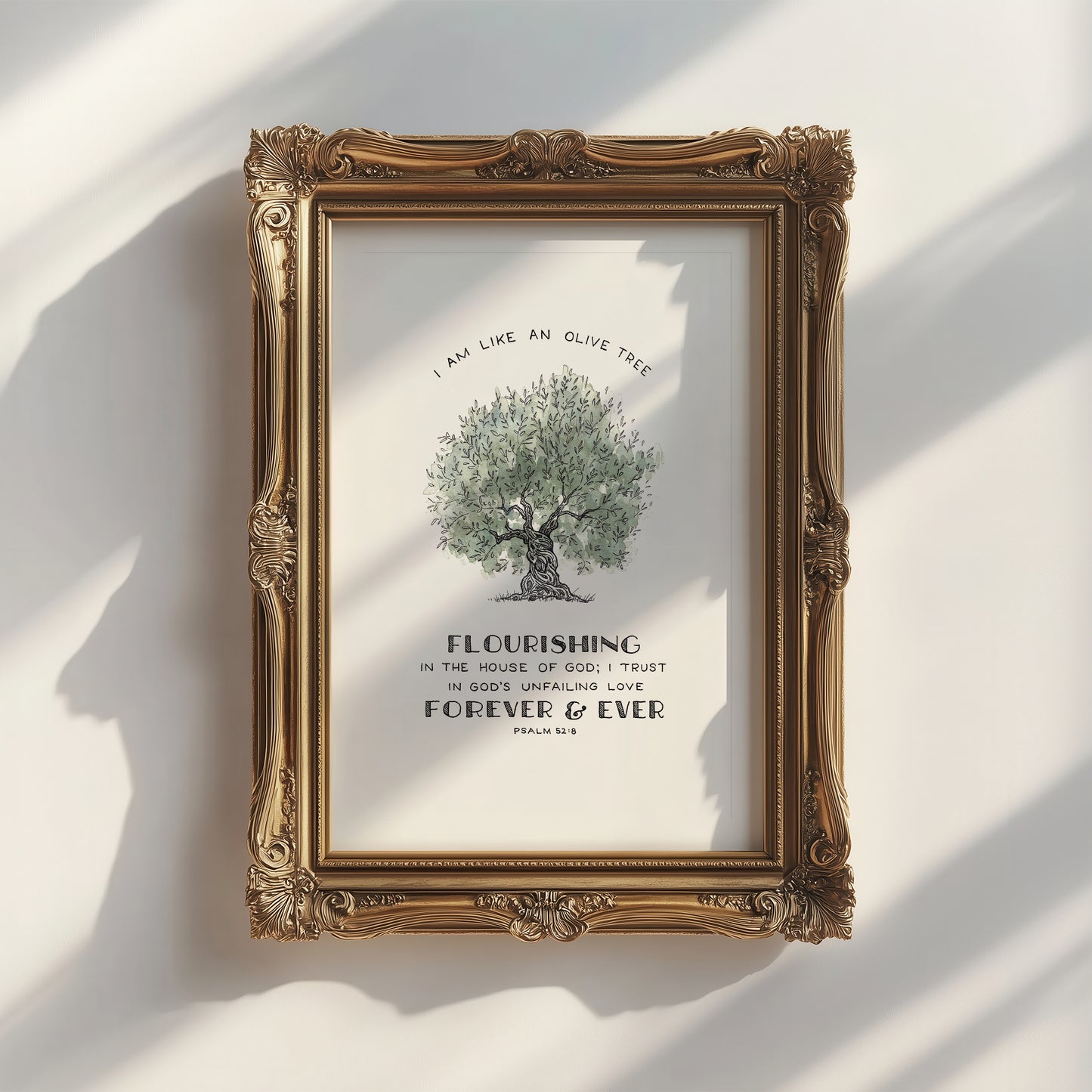 Flourishing Olive - Psalm 52:8