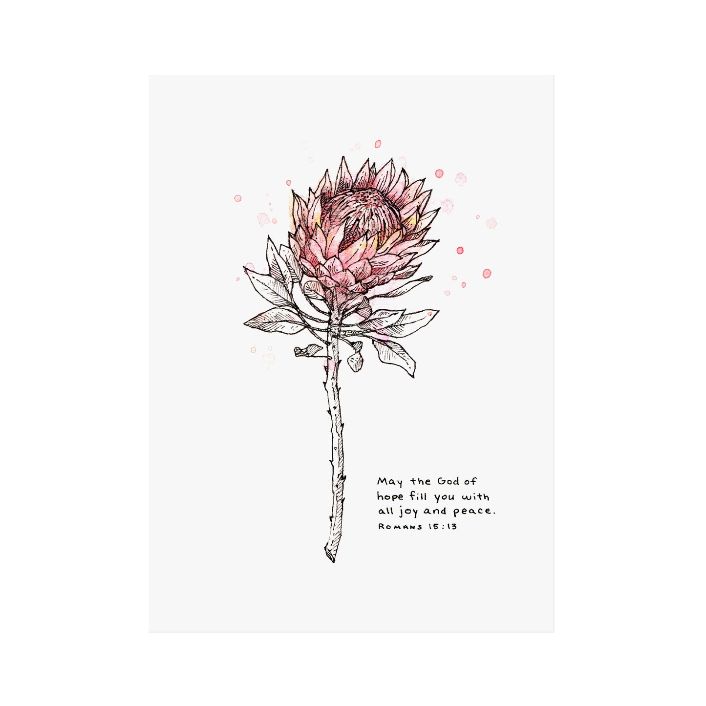 Joy & Peace - Romans 15:13
