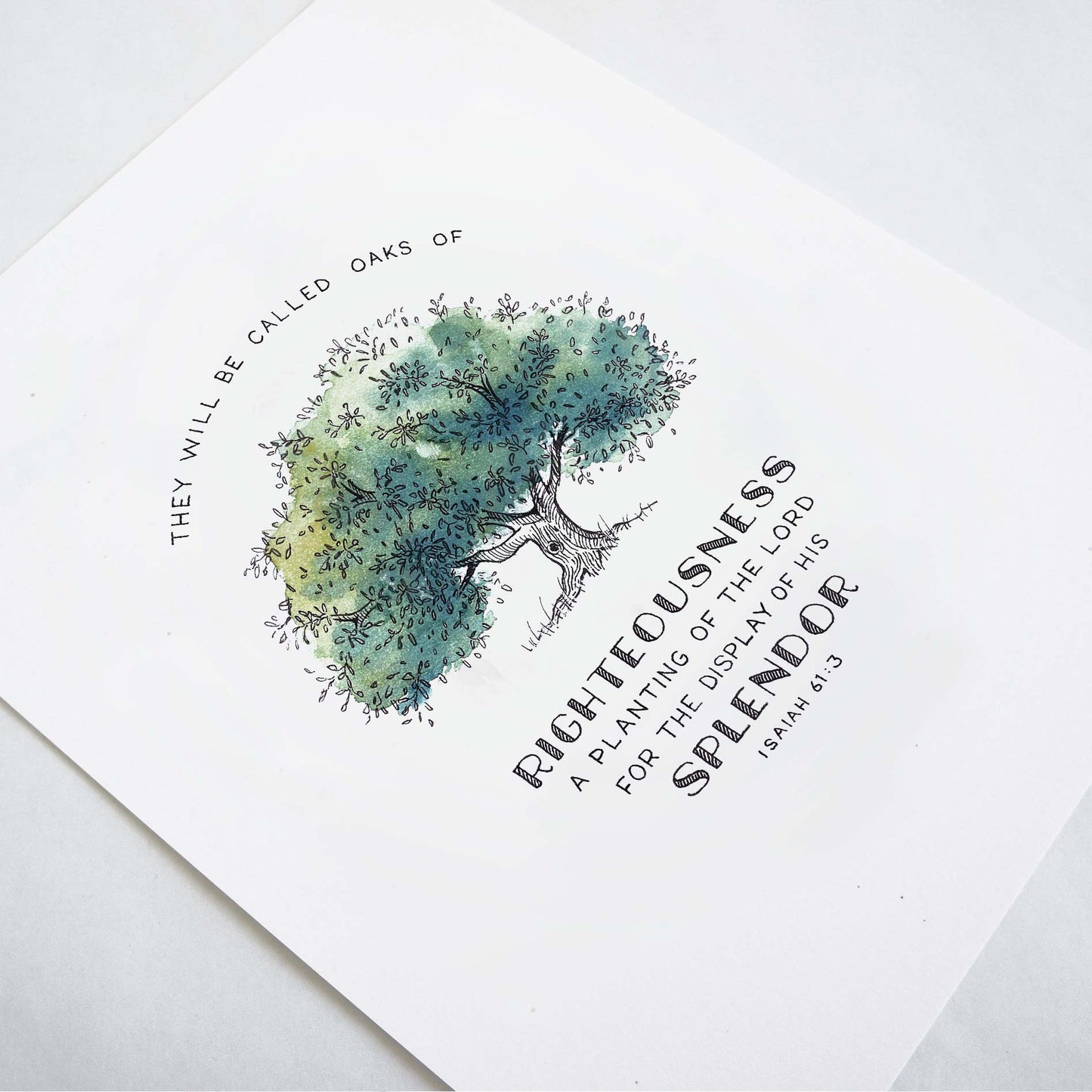 Angle of Oak of Righteousness - Isaiah 61:3 Scripture Art Print
