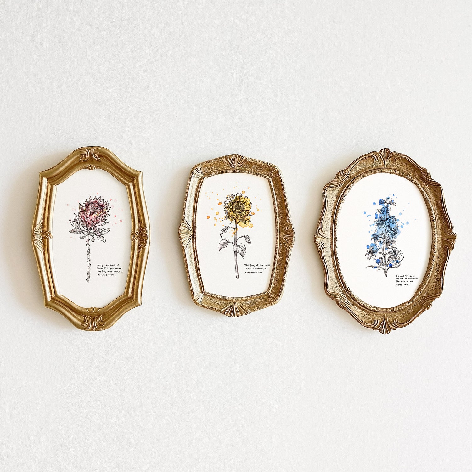 Series & Sets