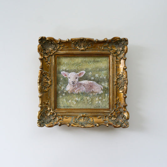 "1 in 100 Sheep" - The Field of Grace