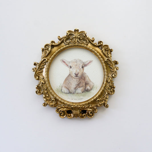 "1 in 100 Sheep" - Precious in His Sight