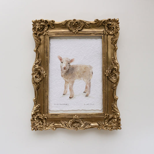 "1 in 100 Sheep" - Rescued from the Valley