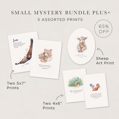 R&R Art Print Mystery Bundle (50-75% OFF)