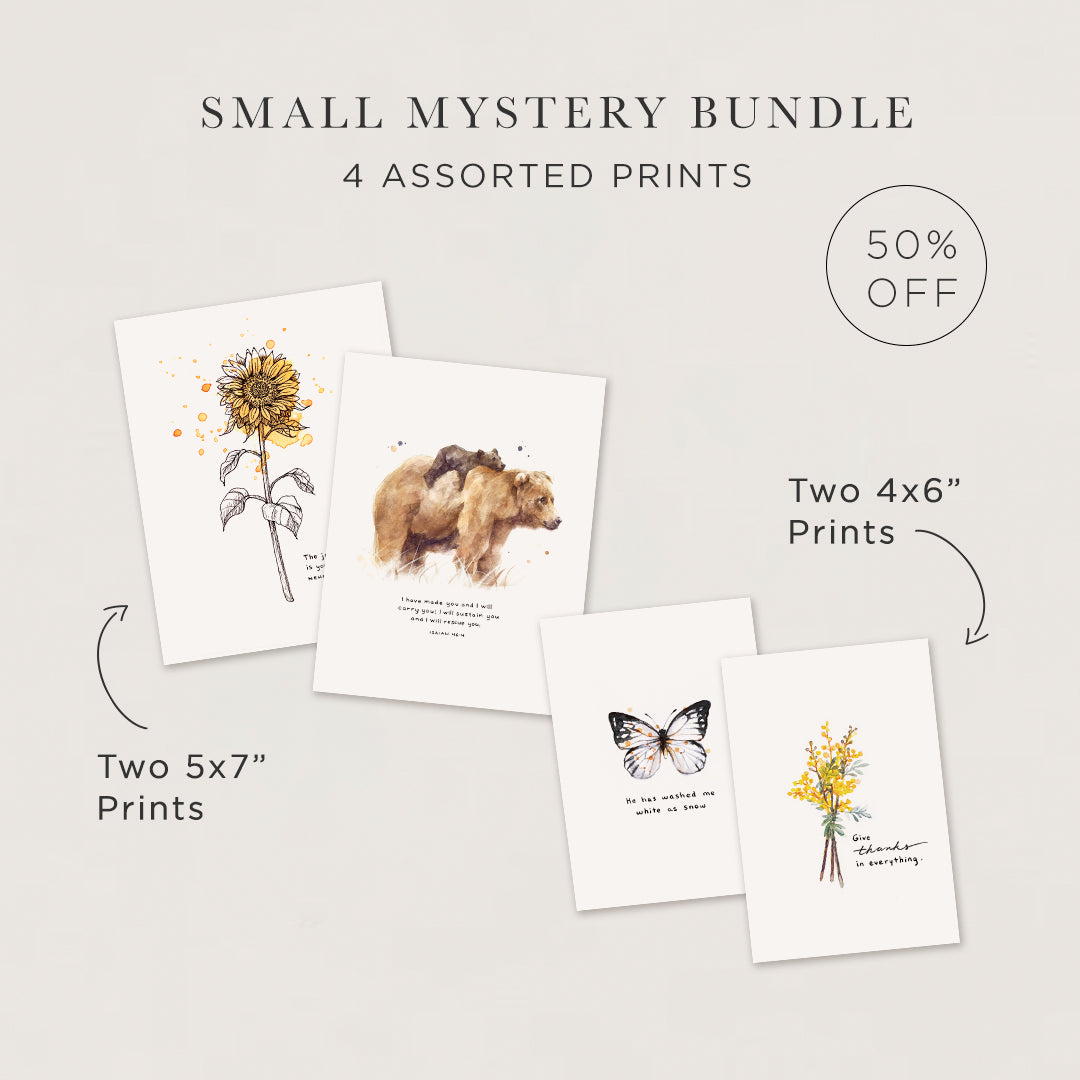 R&R Art Print Mystery Bundle (50-75% OFF)
