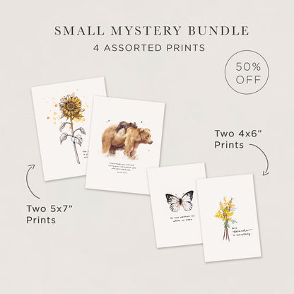 R&R Art Print Mystery Bundle (50-75% OFF)