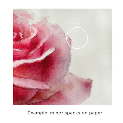 R&R Art Print Mystery Bundle (50-75% OFF)