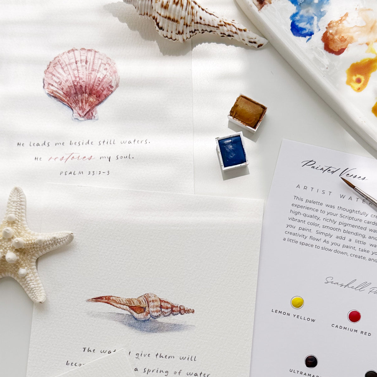 Paintable Watercolor Scripture Kit - Seashell Collection