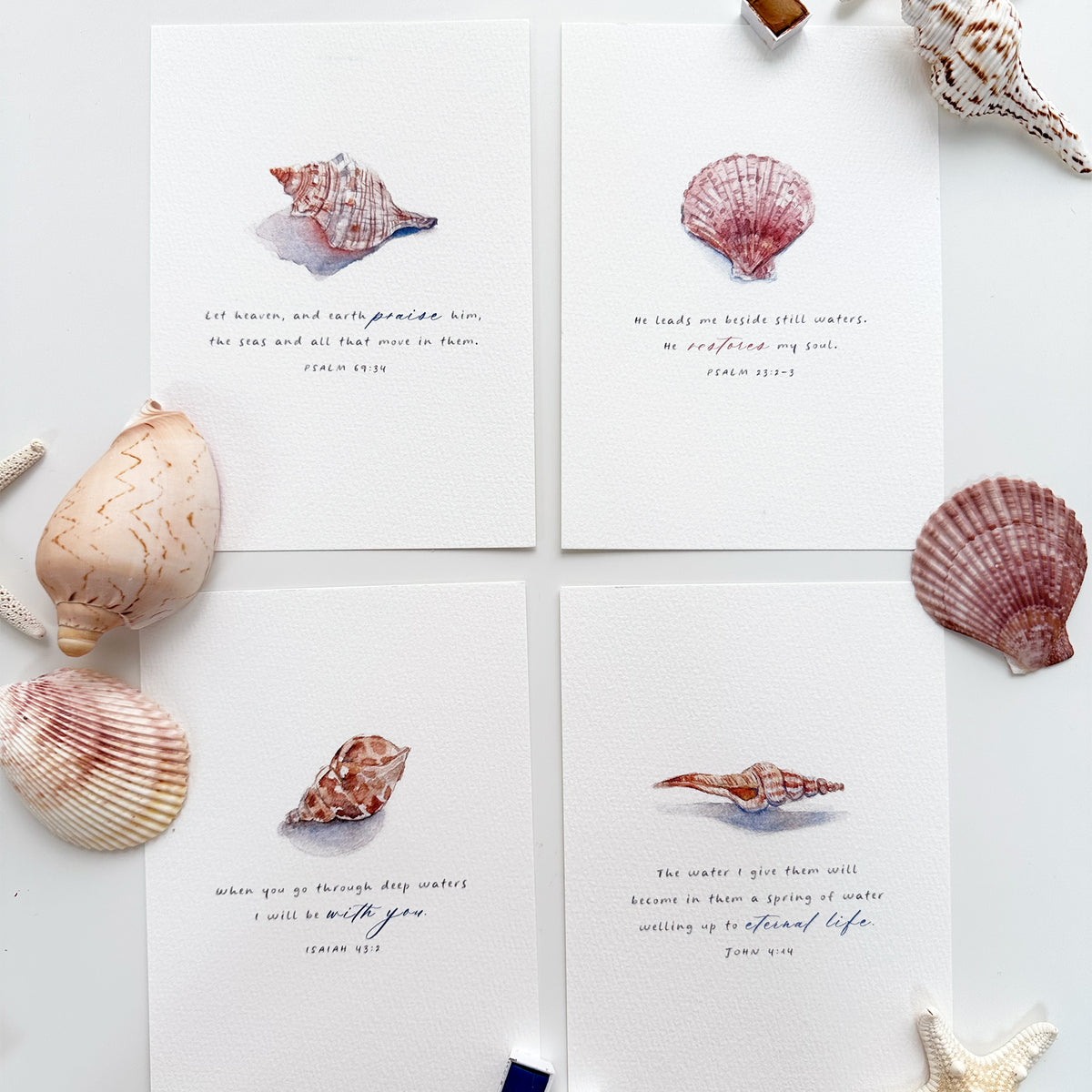 Paintable Watercolor Scripture Kit - Seashell Collection