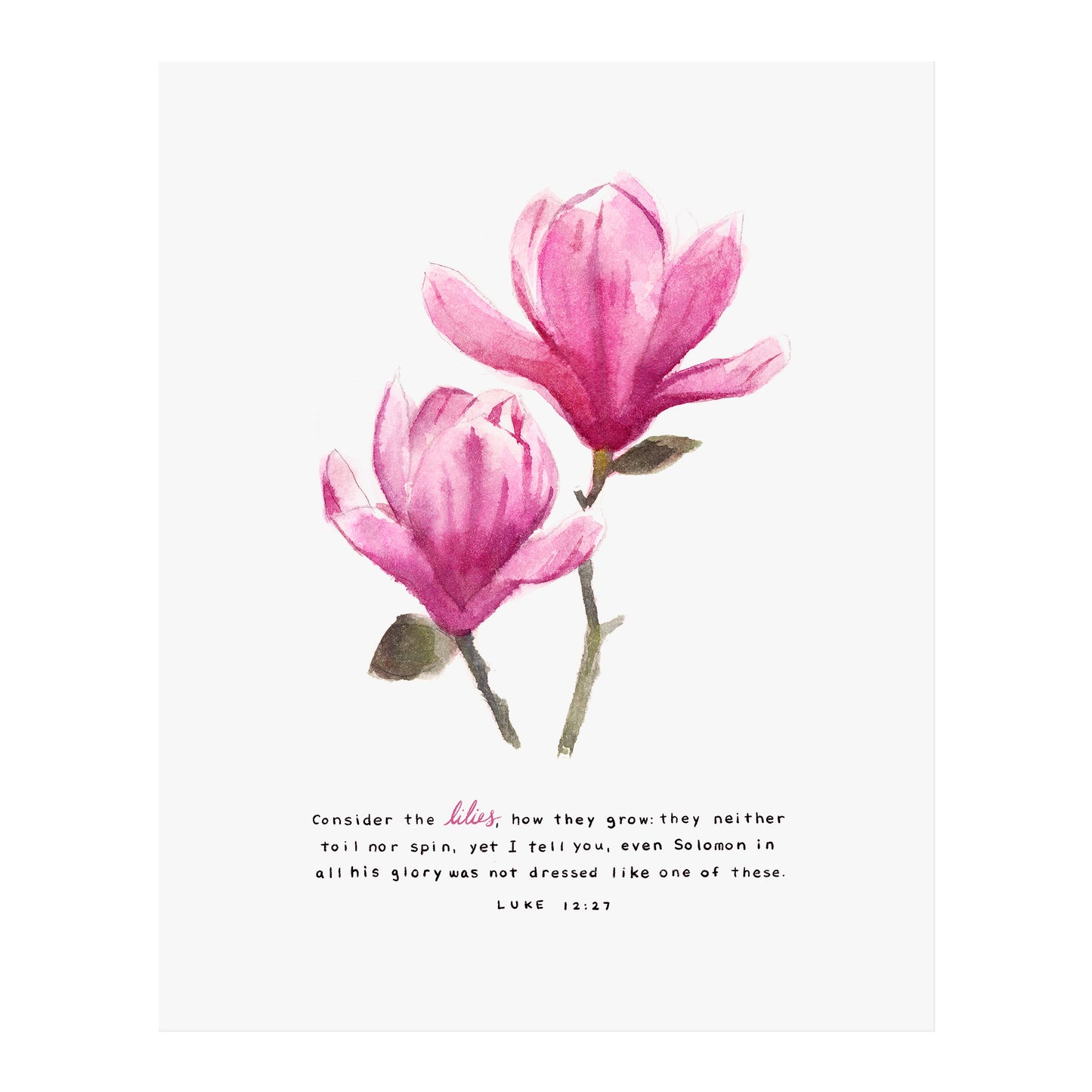 Consider the Lilies - Luke 12:27