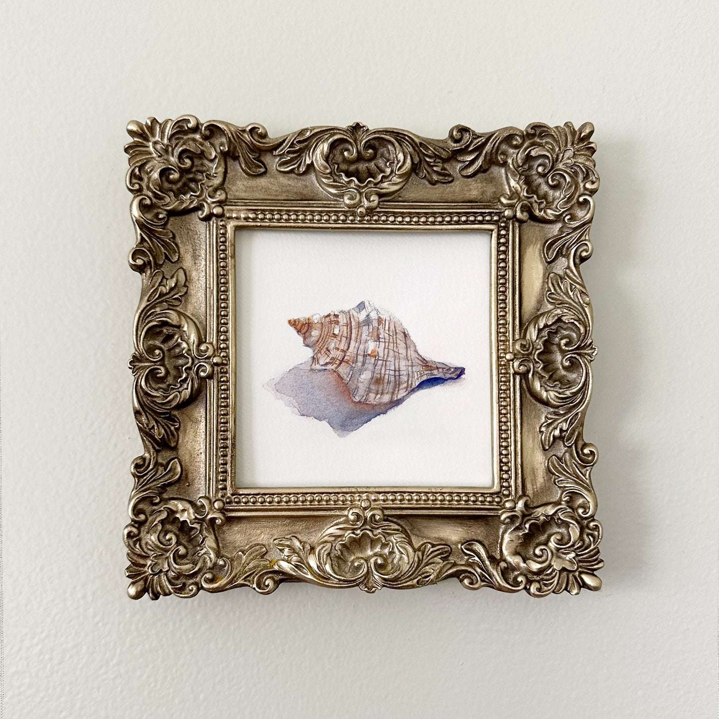 Beside Still Waters - Conch Shell (Original)