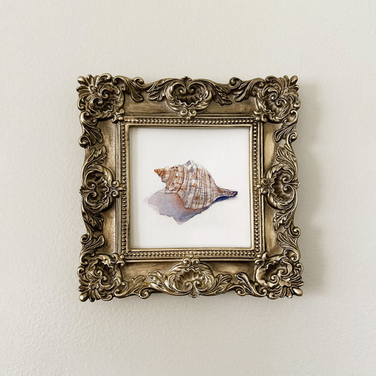 Beside Still Waters - Shell #1 (Original)