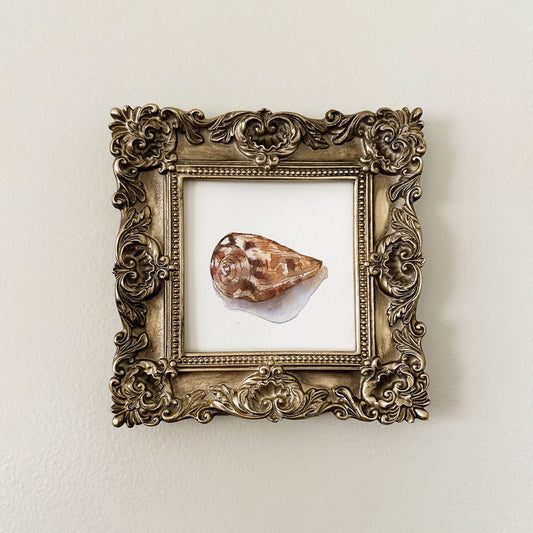 Beside Still Waters - Shell #2 (Original)
