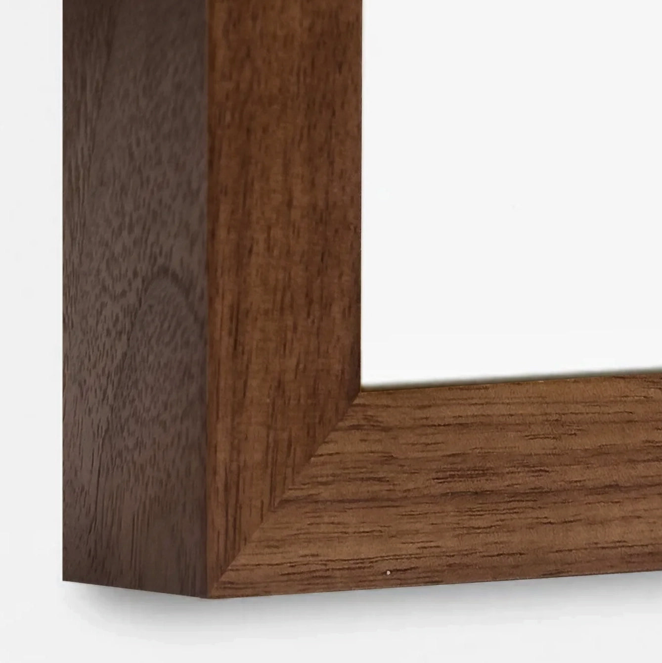 Endurance - Hebrews 12:1